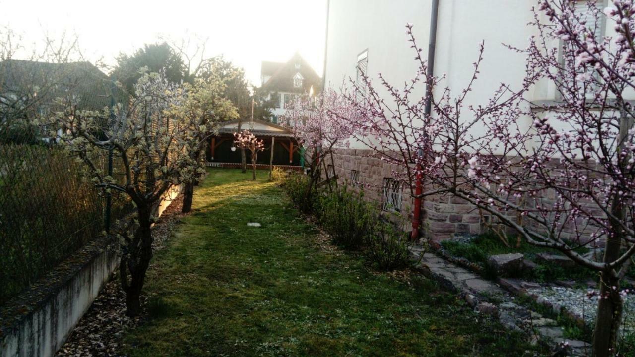 Gite "La Baloise" Colmar Luaran gambar
